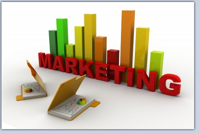 Marketing Study