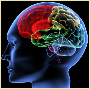 Psychology